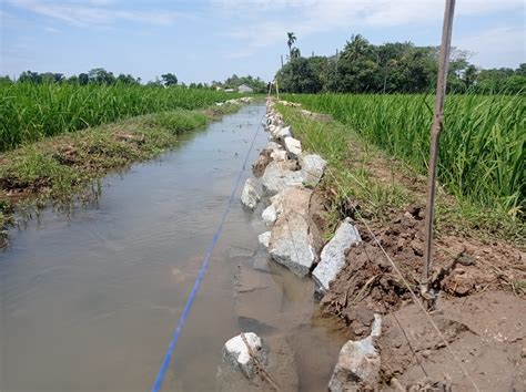 Astaga Pembangunan Pondasi Turap Di Sindangmukti Digenangan Banjir DELIK