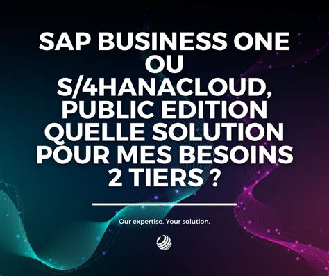 Sap B1 Ou S4hana Cloud Public Edition Comment Faire Le Bon Choix