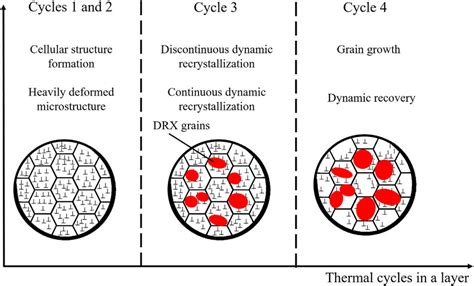 Summary Of The Microstructural Evolution During Different LPBF Thermal