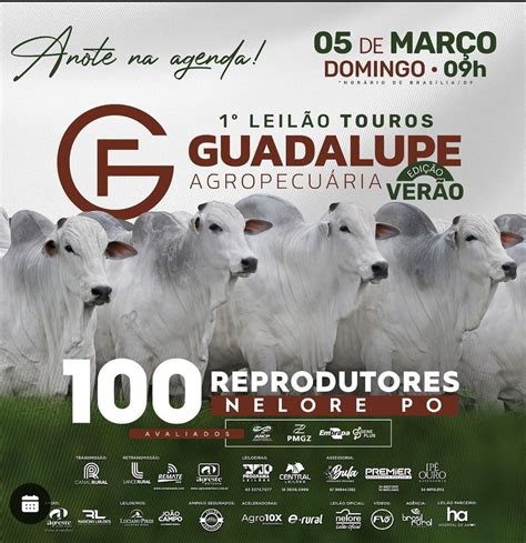 01º Leilão Touros Guadalupe Agropecuária Edição Verão Rancho