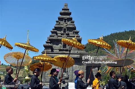 Rambut Gimbal Photos And Premium High Res Pictures Getty Images
