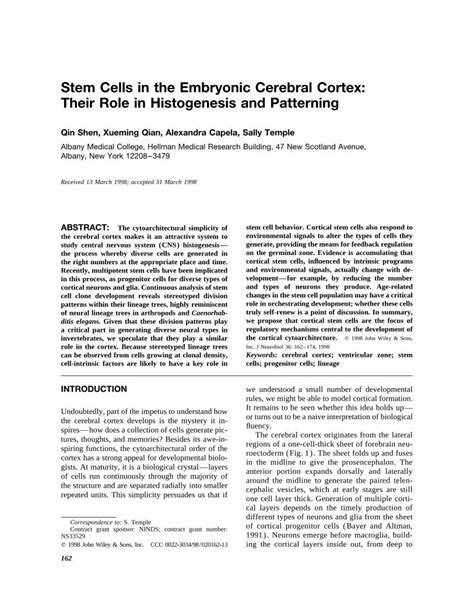 Pdf Stem Cells In The Embryonic Cerebral Cortex Their Role In