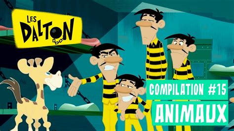 Les Dalton Compilation Animaux Episode Entier En Hd Youtube