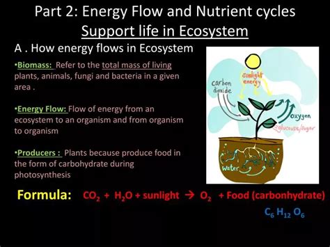 Ppt Part 2 Energy Flow And Nutrient Cycles Support Life In Ecosystem Powerpoint Presentation