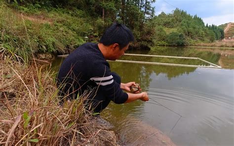 小伙在鱼塘放了3个地网，捕获50一斤的鱼货，这下又有口福了哔哩哔哩bilibili