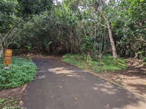 Best Trails Walks And Paths In Hauula Alltrails