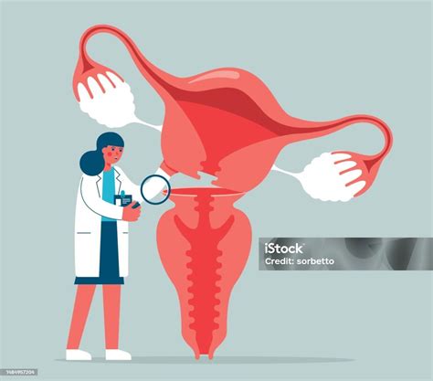 Checkup Womans Reproductive Organ Stock Illustration Download Image Now Human Fertility