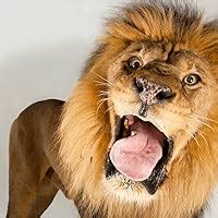 The Summer Of Naked Swim Parties By Jessica Anya Blau Goodreads