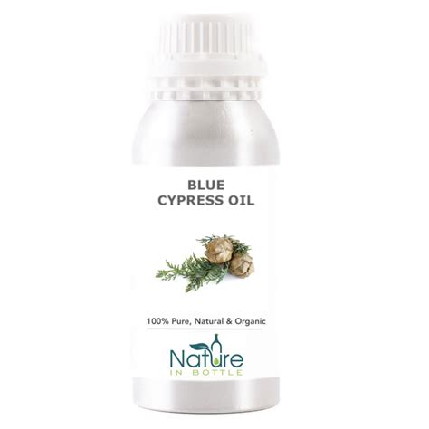 Blue Cypress Essential Oil Organic Callitris Intratropica