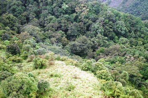 Discover The Hidden Mystery Behind Keralas Silent Valley National Park