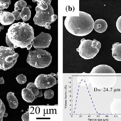 Sem Micrograph Of A Al Particles And B Cocrfeni Particles