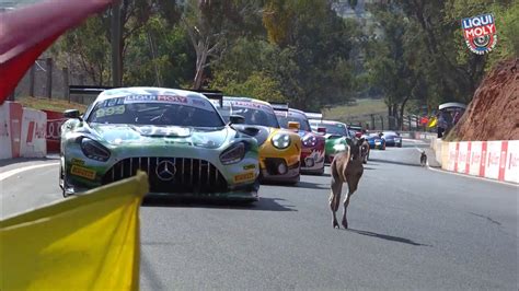 Kangaroos Interrupt Final Bathurst 12 Hour Practice Supercars