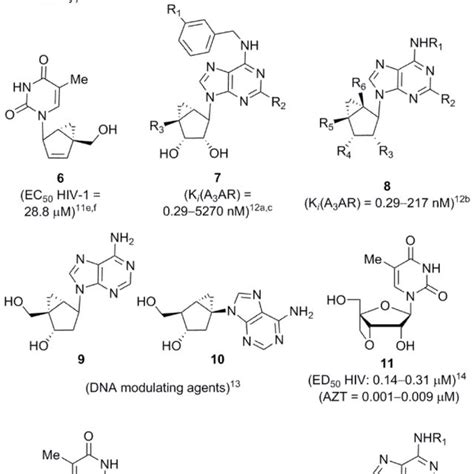 Synthesized compound library of bridged nucleoside analogues (15–53 ...