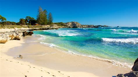 Rottnest Island Vacations 2017: Package & Save up to $603 | Cheap Deals ...