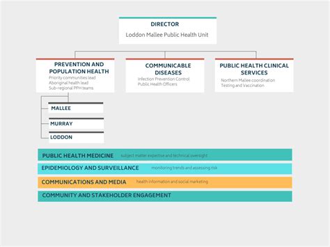 Bendigo Health Website Loddon Mallee Public Health Unit Playbook