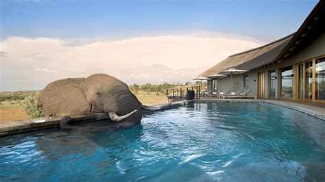 Mhondoro Safari Lodge African Inspired Safaris