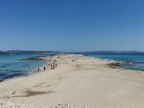 Formentera Plage Espalier Photo Gratuite Sur Pixabay Pixabay