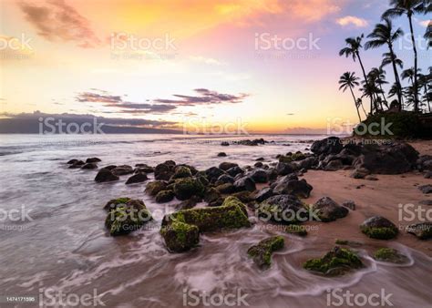 Beautiful Sunset On A Hawaiin Beach With Palm Trees Stock Photo ...