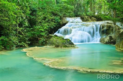 Poster Fluss Wasserfall Im Regenwald Nach Ma Myredro De