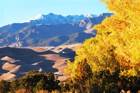 Are Dogs Allowed In Great Sand Dunes National Park Camping