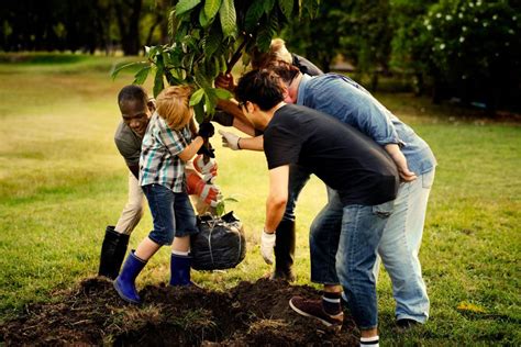 Dise O De Permacultura Curso Certificado Seeds For Sustainability