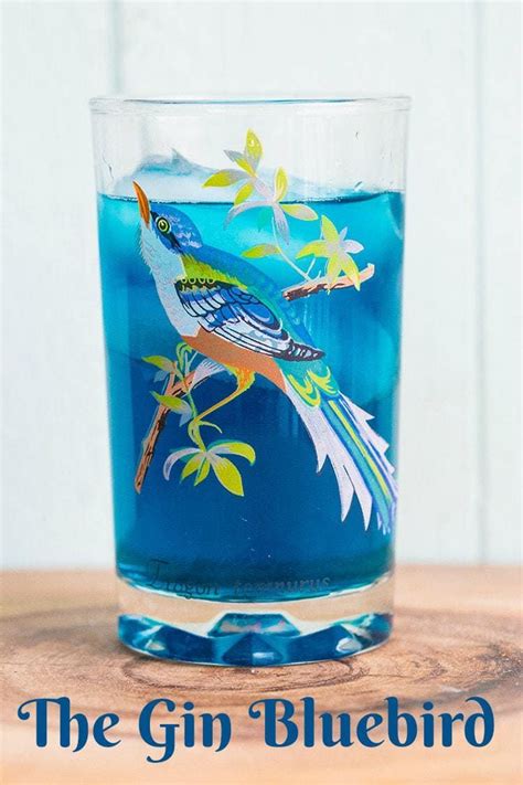 Bluebird Cocktail Recipe The Kitchen Magpie Blue Cocktails Summer Cocktails Cocktail Drinks