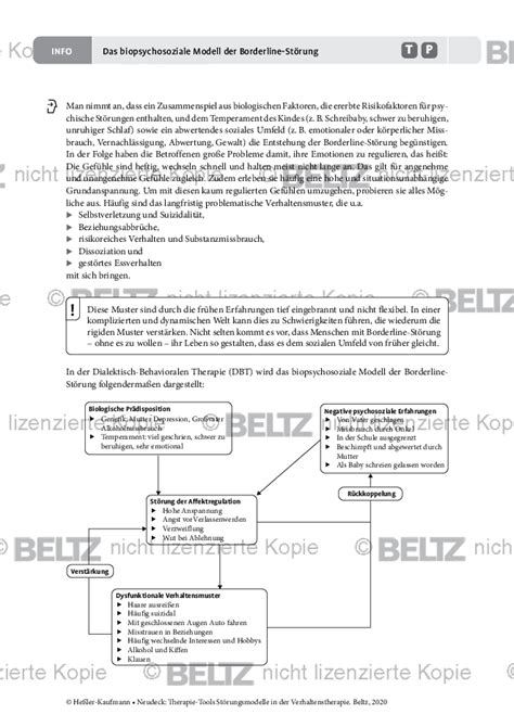 Störungsmodelle Das biopsychosoziale Modell der Borderline Störung