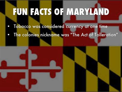 The Colony Of Maryland by Connor Stump