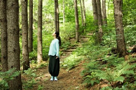 서귀포 치유의 숲·오징어 게임 관광의 별 됐다 한국경제