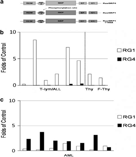 Differential Expression Profiles Of Rasgrp And Rasgrp In Human