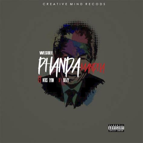 Phanda Mandela Song And Lyrics By Wesbee Rsa Ntrs Lyon Beezy Spotify