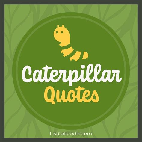 89 Inspiring Caterpillar Quotes (For Change & Renewal) | ListCaboodle