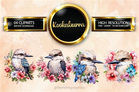 Kookaburra Clipart Bundle 04 Variations Graphic By Hurairagraphics