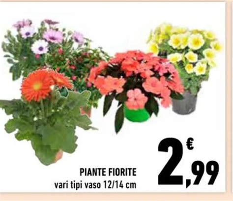 Piante Fiorite Vari Tipi Vaso 12 14 Cm Offerta Di Conad Superstore