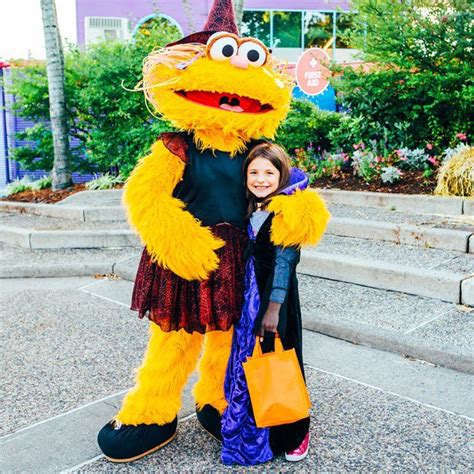 Zoe From Sesame Street Costume