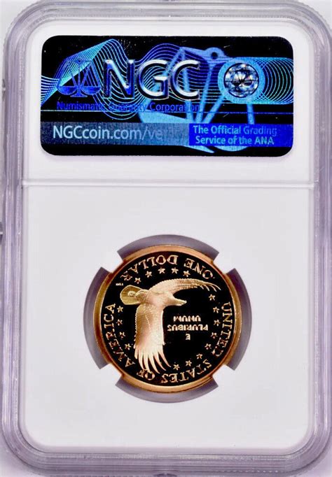 Sacagawea Dollar Ngc Pf Flawless Quality Ebay