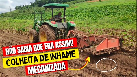 Colheita De Inhame Mecanizada Revolutionary Mechanized Harvest Of