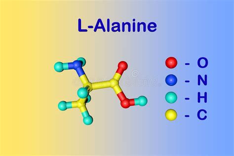 Alanine Is Een Aminozuur Chemisch Moleculaire Formule Alanine