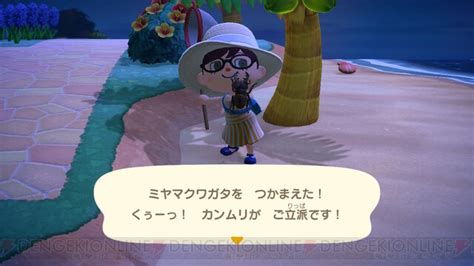 カブトムシやセミが出現する7月に捕まえたいムシは？【あつ森日記＃210】 電撃オンライン