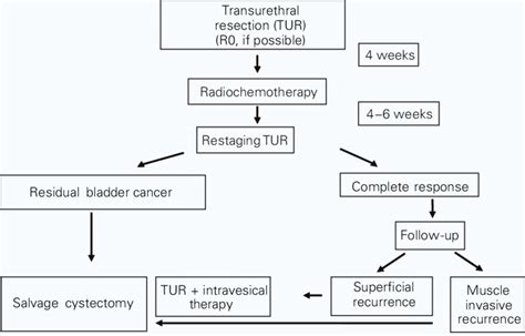 Multimodal Organ Preserving Therapy Of Bladder Cancer The Erlangen