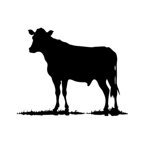 Cow and Calf Silhouette Vector Images (over 3,800)