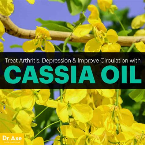 Cassia Oil Improves Circulation, Arthritis & Depression- Dr. Axe