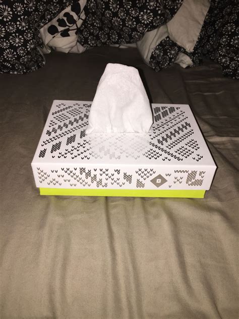 Diy Tissue Box Cutest Way To Repurpose Old Birchbox Boxes Re Use