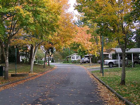 Autumn Street Photograph by George Cousins - Fine Art America