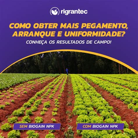 Biogain Npk Fertilizante A O Bioestimulante Base De Algas