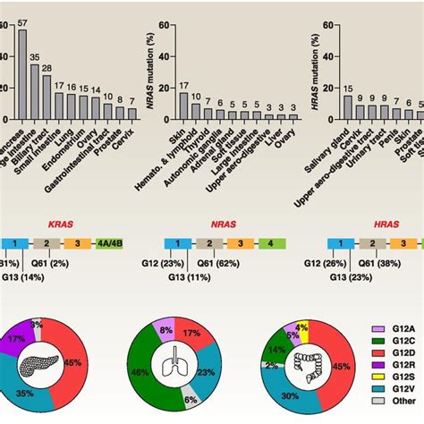 Genes Involved In Synthetic Lethality Of Mutant Kras Dependent Cancers