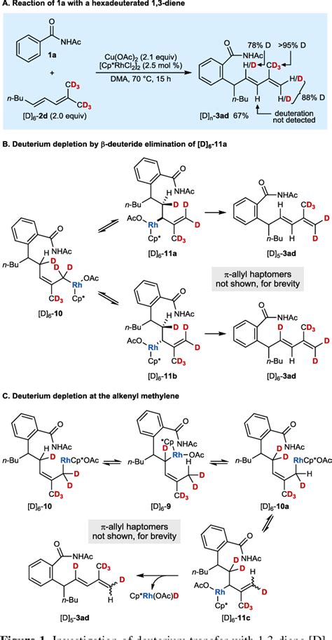 PDF Rhodium Catalyzed Oxidative C H Allylation Of Benzamides With 1 3