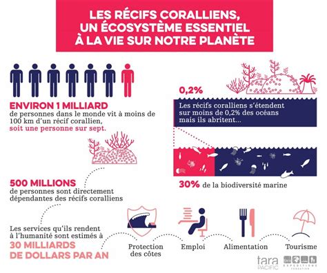 Etude du corail par une approche écosystémique Tara Pacific