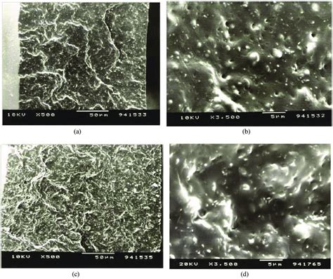 Sem Pictures Of The Cross Sections Of Unfilled Pdms A At And