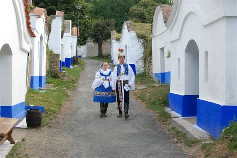 Vinn Sklep Z Hlediska Stavebn Ho I Provozn Ho Tzb Info